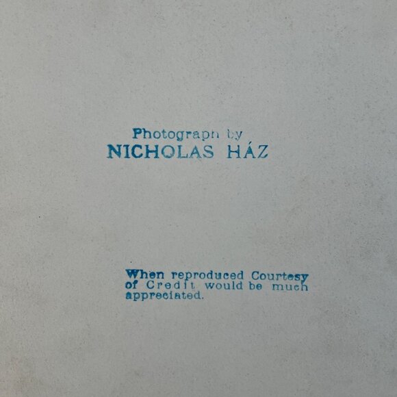 Vintage Art Nouveau Female Performer 8 x 10 Photograph by Nicholas Ház - Picture 11 of 16